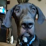 Todd Quinn - @todd.quinn1 - Instagram