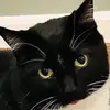 i_am_todd_trader - @i_am_todd_trader - TikTok