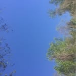 Todd Rader - @rades00 - Instagram