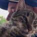Todd Radke - Facebook