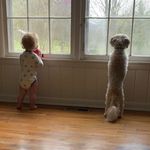 Todd Ramey - @toddramey - Instagram