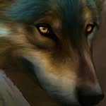 Todd Rankin - @rankin.todd - Instagram