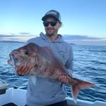 Todd Rankin-Hirst - @toddle_off_fishingnz - Instagram
