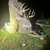 Todd Ransom - @ransom_heat_em_up_kennal - TikTok