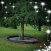 Todd Rathbun - Facebook