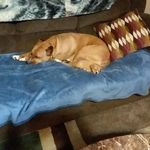 w todd rathbun - @wtoddrathbun - Instagram