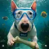 Todd Ratliff679 - @callaraider - TikTok