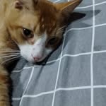 todd Ratliff - @toddratliff352 - Instagram