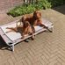 Det Riensema - Facebook