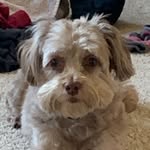 Daniel Todd Rittenhouse - @dan113539 - Instagram