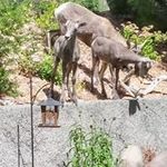 Todd Robillard - @todd.robillard.56 - Instagram