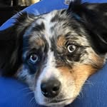 Todd Romanow - @toddromanow - Instagram