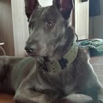 Todd Root - @root_todd - Instagram
