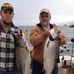 Todd Rothfuss - Facebook
