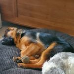 Royer Todd - @royer_todd - Instagram
