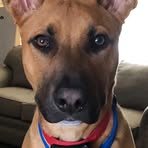 Todd Royer - Facebook