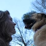 Todd Shroyer - @shroyertodd - Instagram