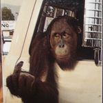 Todd Ruble - @twruble - Instagram