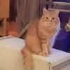 toddcaspersen - @toddcaspersen - TikTok