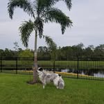 Todd Sawyer - @tjmkfla - Instagram