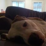 Todd Schaefer - @schaefer_todd - Instagram