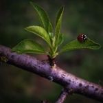 Todd Schaefer - @toddschaefer112 - Instagram