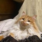 Todd Schlosser - @schlossertodd - Instagram