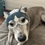 Todd Schock - @tikcu5_emta3 - Instagram
