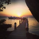 Todd Schofield - @toddschofield1 - Instagram