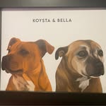 Todd Schofield - @todd75schofield - Instagram
