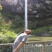 Todd Schofield - Facebook