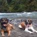 Todd Schuh - Facebook