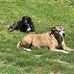 Todd Schuster - Facebook