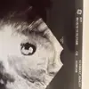 Todd Schwarz - @toddschwarz - TikTok