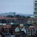 Todd Schweigert - @toddschweigert - Instagram