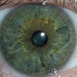 Todd Scranton - @toddscranton - Instagram