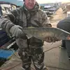 Todd See - @todd.see - TikTok