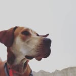 Todd - @see_todd_run - Instagram
