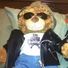 Todd Seegmiller - @toddseegmiller - TikTok