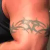 Todd Seely - @toddseely - TikTok
