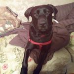 Tina Senters Todd - @tinasenterstodd - Instagram