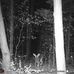 Todd Setlock - Facebook