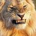 Todd Satter - Facebook
