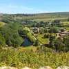 ted_shackelton - @ted_shackleton - TikTok