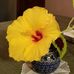 Todd Shackleton - Facebook