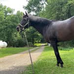 Todd Shaffer - @toddshaffer62 - Instagram