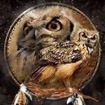 Todd Shaffer Sr. - @toddsr2863 - Instagram