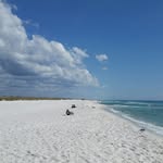 Todd Shanks - @shanks3325 - Instagram
