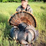 Todd Sherrill - @toddsherrill8 - Instagram