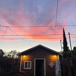 Todd Sherry - @sherrywood_forest - Instagram